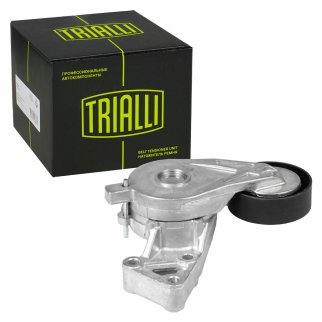 Ролик ГРМ TRIALLI CM 5189 фото 2