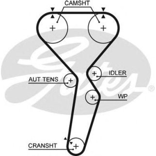 Ремень ГРМ GATES 5585XS фото