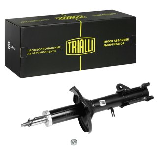 Амортизатор задний левый TRIALLI AG 08206 фото