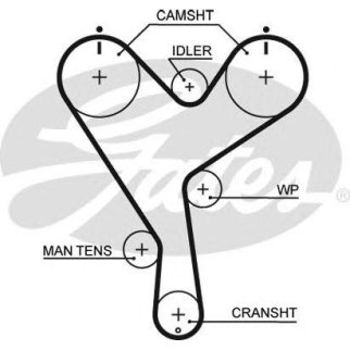 Ремень ГРМ GATES 5402XS фото
