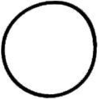 Прокл.впуск.кол-ра фото