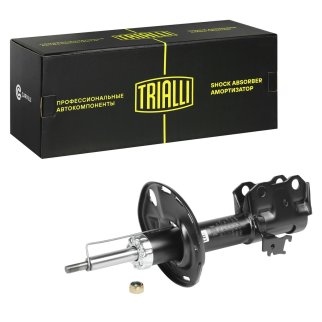 Амортизатор передний правый TRIALLI AG 19380 фото