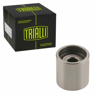 Ролик ГРМ TRIALLI CM 1848 фото