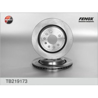 Диск тормозной задний Fenox TB219173 фото