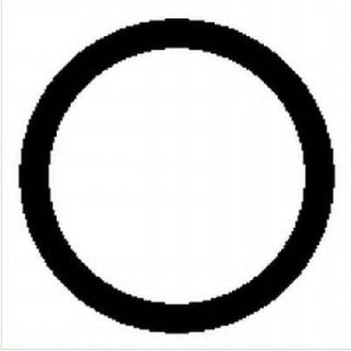 Прокладка впускного коллектора BMW E60/E81/E87/E88/E90/E91/E92/E93 1.8-2.0 (N43 B16A / N43 B20A) 07- ВПУСК фото