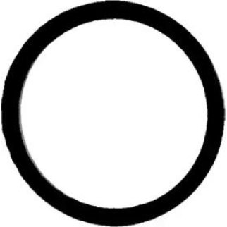 Прокладка впускного коллектора Victor Reinz 71-35247-00 фото