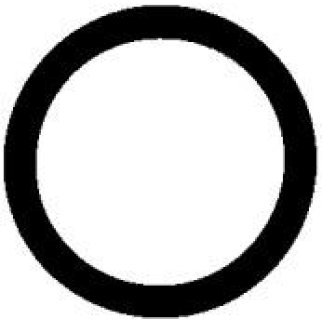 Кольцо уплотнительное (двигатель) Elring 570.120 фото