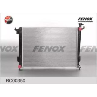 Радиатор основной Fenox RC00350 фото