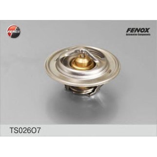 Термостат (+80 C) HCV фото