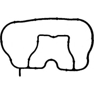 Прокладка впускного коллектора Elring 025.250 фото