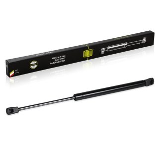 Газовый упор багажника TRIALLI GS 0501 фото