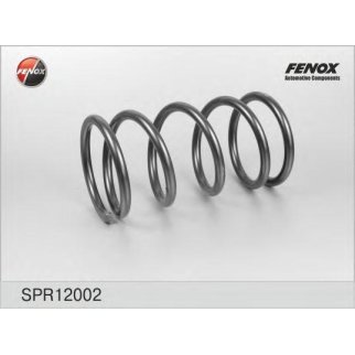 Пружина задняя Fenox SPR12002 фото