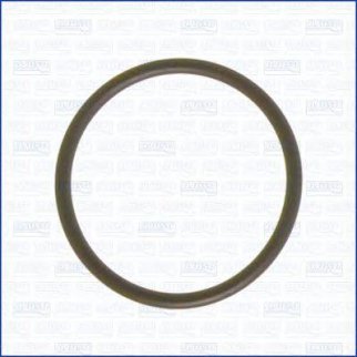 Прокладка впускного коллектора AJUSA 16023100 фото