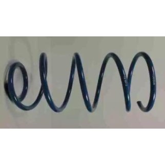 Пружина передняя TORQUE TS5012 фото