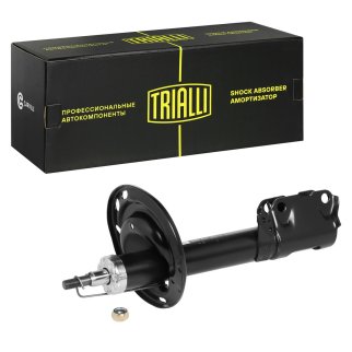 Амортизатор задний TRIALLI AG 19202 фото