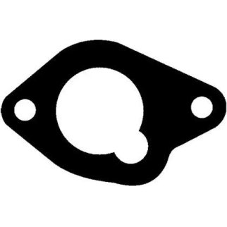 Прокладка впускного коллектора фото