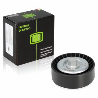 Ролик ручейкового ремня TRIALLI CM 1101 фото 2