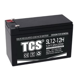 Аккумуляторная батарея TCS SL 12-12H ИБП 151x98x95 фото