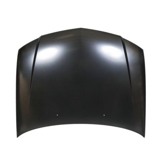 Капот TYG DS20110A фото