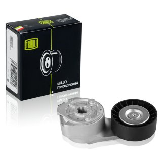 Натяжитель ремня TRIALLI CM101 фото 2