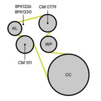 Натяжитель ремня TRIALLI CM101 фото 3
