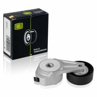 Натяжитель ремня TRIALLI CM101 фото