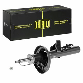 Амортизатор задний TRIALLI AG 10513 фото