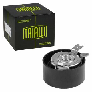 Ролик ГРМ TRIALLI CM 0939 фото