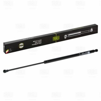 Газовый упор багажника TRIALLI GS 2014 фото