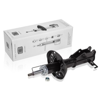 Амортизатор передний левый TRIALLI AG 05170 фото