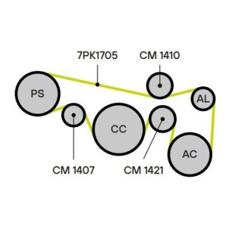 Ролик ручейкового ремня TRIALLI CM 1410 фото 4