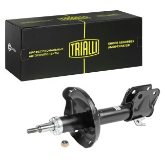 Амортизатор передний TRIALLI AG 22355 фото