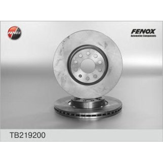 Диск тормозной передний вентилируемый Fenox TB219200 фото