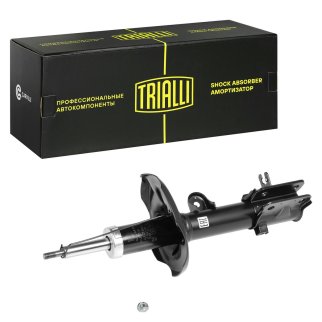 Амортизатор задний правый TRIALLI AG 08410 фото