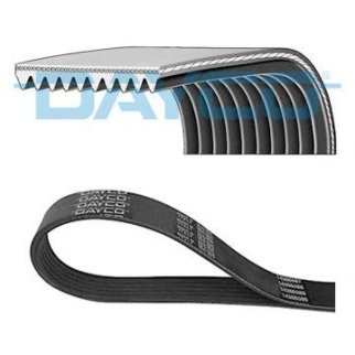 Ремень ручейковый DAYCO 10PK1350HD фото