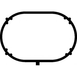 Прокладка впускного коллектора Elring 655.830 фото