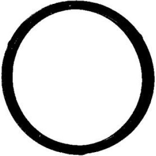 Кольцо уплотнительное (двигатель) Elring 447.260 фото