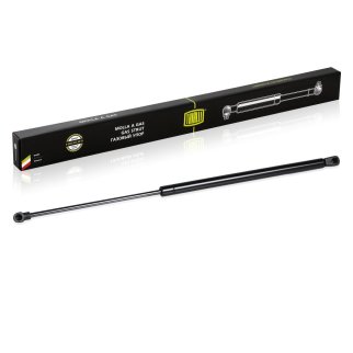 Газовый упор багажника TRIALLI GS 0843 фото