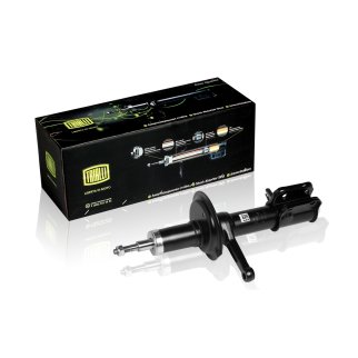 Амортизатор передний правый TRIALLI AH 01352 фото