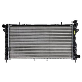 Радиатор основной TERMAL 301004JP фото