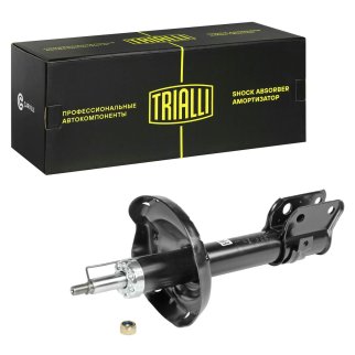 Амортизатор передний TRIALLI AG 22164 фото