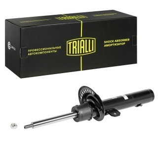 Амортизатор передний TRIALLI AG 10070 фото