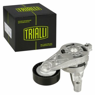 Натяжитель ремня TRIALLI CM5107 фото 2