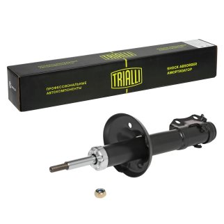 Амортизатор передний TRIALLI AH 18063 фото