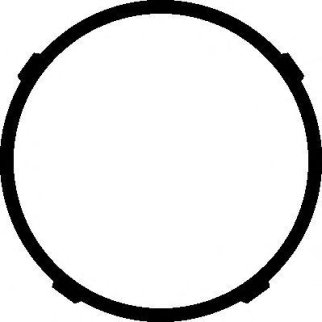 Прокладка впускного коллектора Elring 359.380 фото