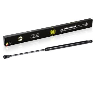 Газовый упор багажника TRIALLI GS 0810 фото