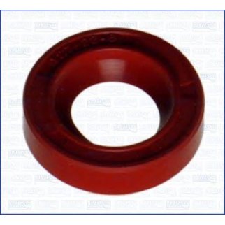 Сальник фото