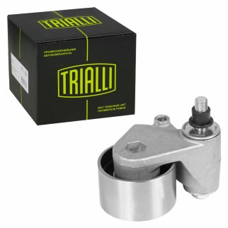 Ролик ГРМ TRIALLI CM 5069 фото 2