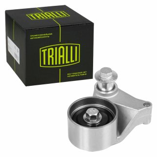 Ролик ГРМ TRIALLI CM 5069 фото