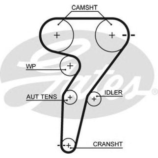 Ремень ГРМ GATES 5429XS фото